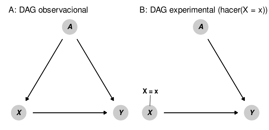 Las flechas en un DAG se borran cuando usamos el operador $hacer(\cdot)$